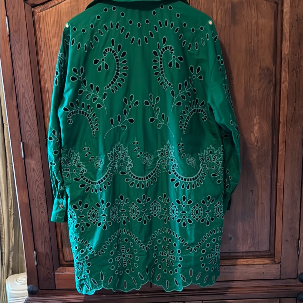 EUC By Anthropologie Green Eyelet Button Down Shirt Mini Dress - Picture 9 of 17